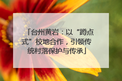 台州黄岩：以“蹲点式”校地合作，引领传统村落保护与传承