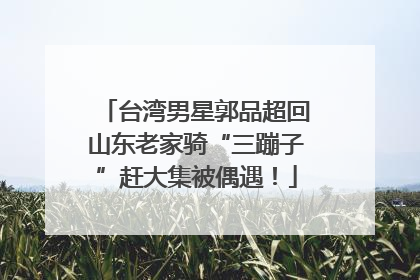 台湾男星郭品超回山东老家骑“三蹦子”赶大集被偶遇！