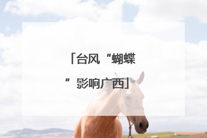 台风“蝴蝶”影响广西