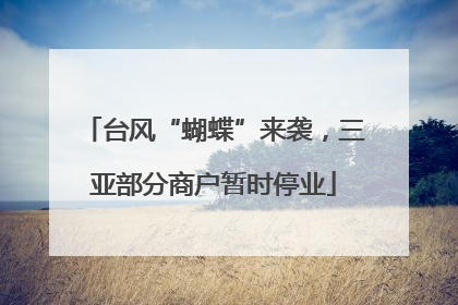 台风“蝴蝶”来袭，三亚部分商户暂时停业
