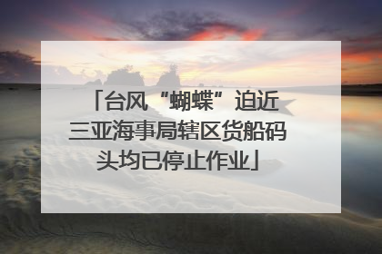 台风“蝴蝶”迫近 三亚海事局辖区货船码头均已停止作业