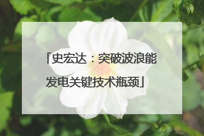 史宏达：突破波浪能发电关键技术瓶颈