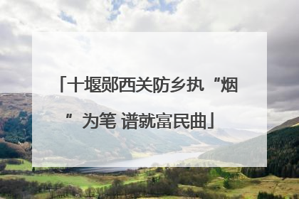 十堰郧西关防乡执“烟”为笔 谱就富民曲