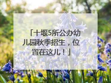 十堰5所公办幼儿园秋季招生，位置在这儿！