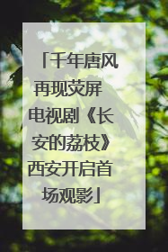 千年唐风再现荧屏 电视剧《长安的荔枝》西安开启首场观影