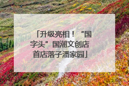 升级亮相！“国字头”国潮文创店首店落子潘家园