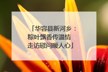 华容县新河乡：粽叶飘香传温情 走访慰问暖人心
