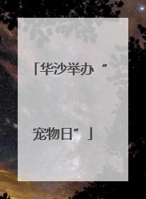 华沙举办“宠物日”