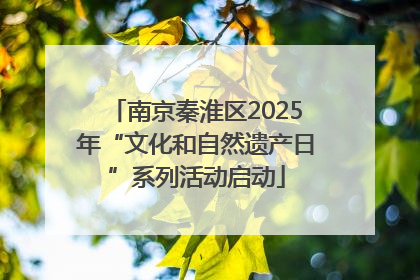 南京秦淮区2025年“文化和自然遗产日”系列活动启动