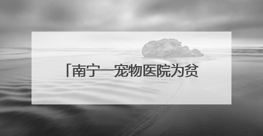 南宁一宠物医院为贫血警犬征集血源，多人带狗狗前来抽血配型