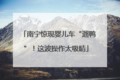 南宁惊现婴儿车“遛鸭”！这波操作太吸睛