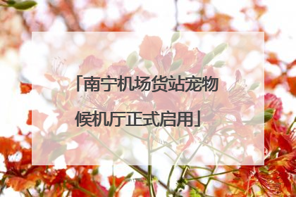 南宁机场货站宠物候机厅正式启用