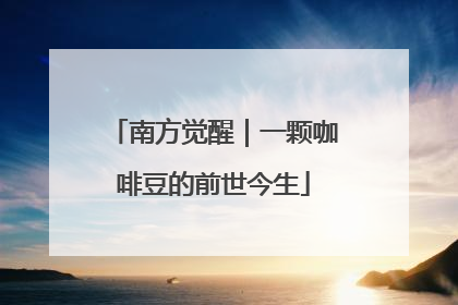 南方觉醒｜一颗咖啡豆的前世今生