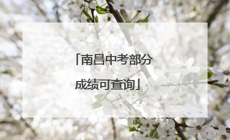 南昌中考部分成绩可查询
