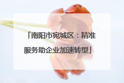 南阳市宛城区：精准服务助企业加速转型