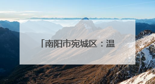 南阳市宛城区：温暖“志愿红”守护居民“幸福路”