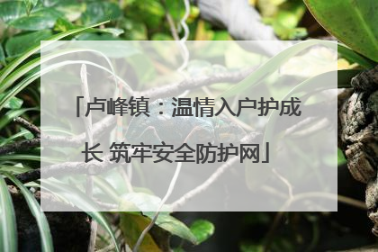 卢峰镇：温情入户护成长 筑牢安全防护网