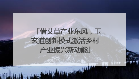 借艾草产业东风，玉玄道创新模式激活乡村产业振兴新动能