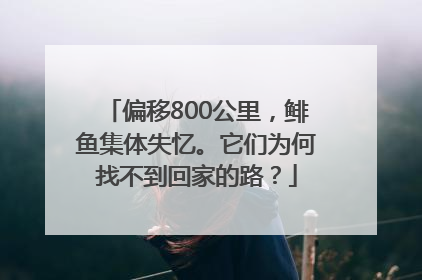 偏移800公里，鲱鱼集体失忆。它们为何找不到回家的路？