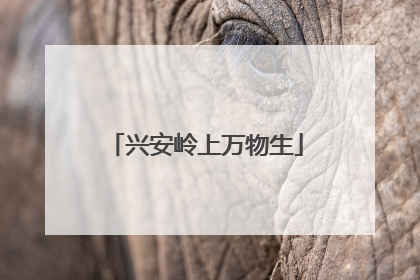 兴安岭上万物生