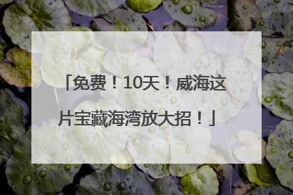 免费！10天！威海这片宝藏海湾放大招！