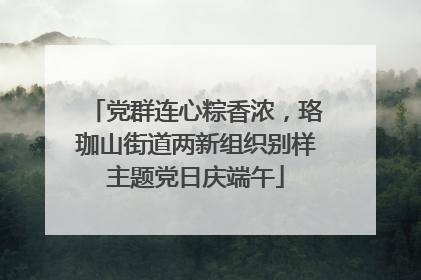 党群连心粽香浓，珞珈山街道两新组织别样主题党日庆端午