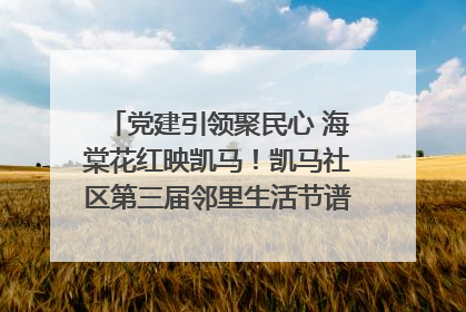党建引领聚民心 海棠花红映凯马！凯马社区第三届邻里生活节谱写幸福新篇章