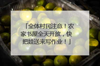 全体村民注意！农家书屋全天开放，快把娃送来写作业！