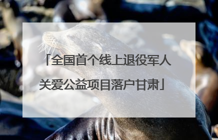 全国首个线上退役军人关爱公益项目落户甘肃