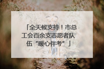 全天候支持！市总工会百余支志愿者队伍“暖心伴考”