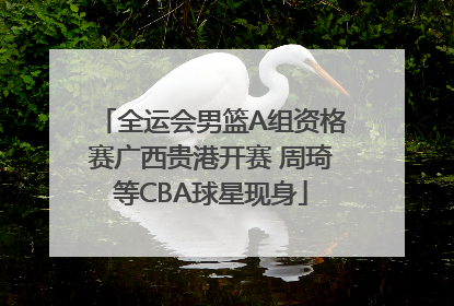全运会男篮A组资格赛广西贵港开赛 周琦等CBA球星现身