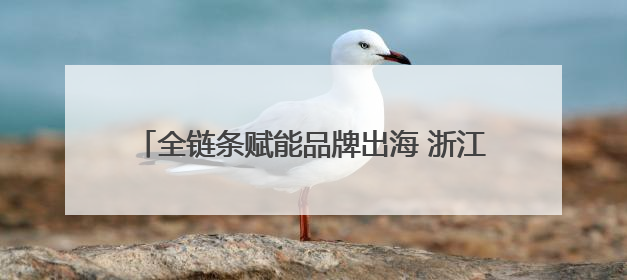 全链条赋能品牌出海 浙江衢州打造跨境电商新生态