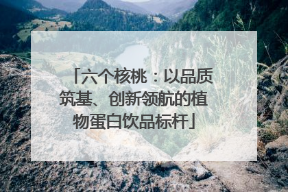 六个核桃：以品质筑基、创新领航的植物蛋白饮品标杆