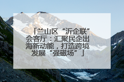 兰山区“沂企联”会客厅：汇聚民企出海新动能，打造跨境发展“强磁场”