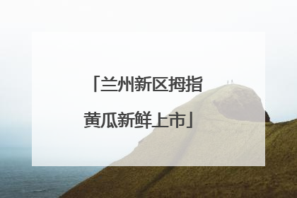 兰州新区拇指黄瓜新鲜上市