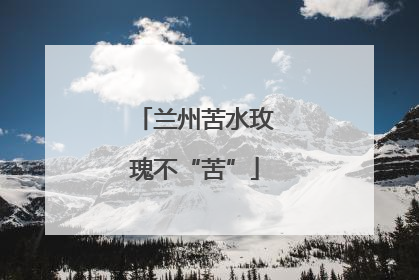 兰州苦水玫瑰不“苦”