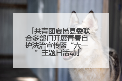 共青团夏邑县委联合多部门开展青春自护法治宣传暨“六一”主题日活动
