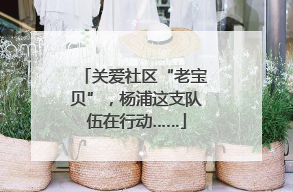 关爱社区“老宝贝”，杨浦这支队伍在行动……