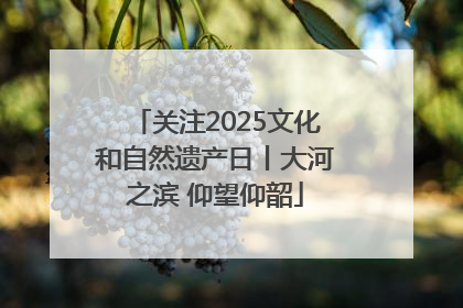 关注2025文化和自然遗产日丨大河之滨 仰望仰韶