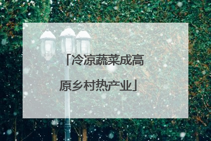 冷凉蔬菜成高原乡村热产业