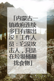 内蒙古一镇政府连续多日有熊出没！工作人员：它没攻击人，只是在垃圾桶翻找食物