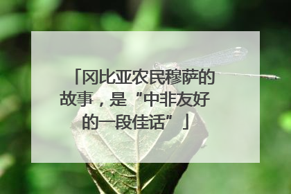 冈比亚农民穆萨的故事，是“中非友好的一段佳话”