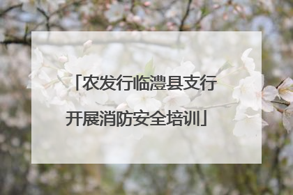 农发行临澧县支行开展消防安全培训