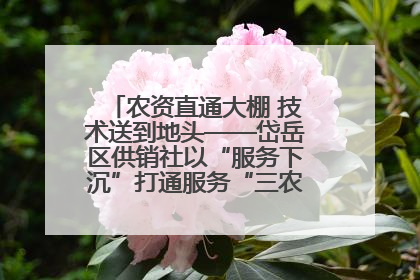 农资直通大棚 技术送到地头——岱岳区供销社以“服务下沉”打通服务“三农”最后一公里
