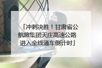 冲刺决胜！甘肃省公航旅集团天庄高速公路进入全线通车倒计时