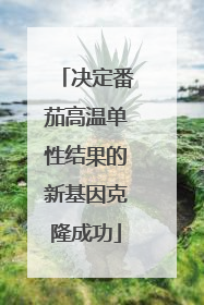 决定番茄高温单性结果的新基因克隆成功