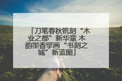 刀笔春秋镌刻“木业之都”新华章 木韵墨香擘画“书刻之城”新蓝图
