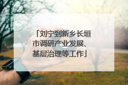 刘宁到新乡长垣市调研产业发展、基层治理等工作
