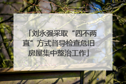 刘永强采取“四不两直”方式督导检查危旧房屋集中整治工作