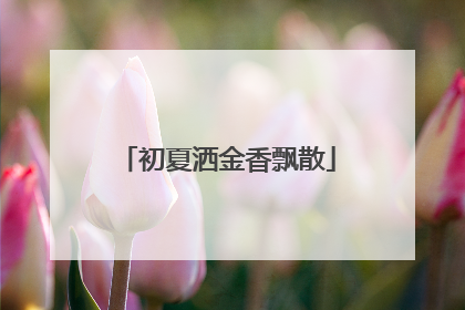 初夏洒金香飘散